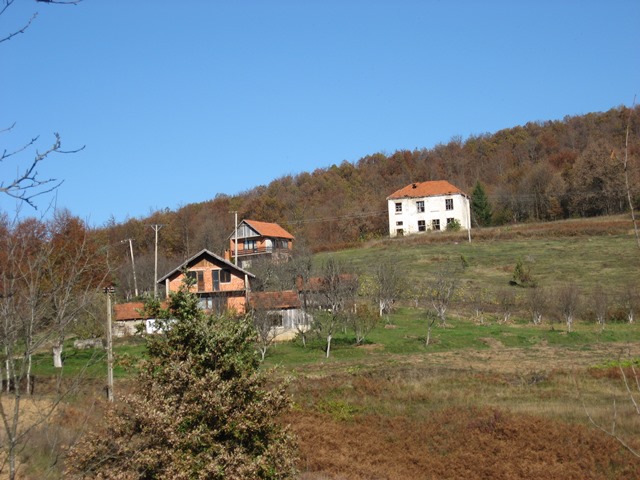 skola